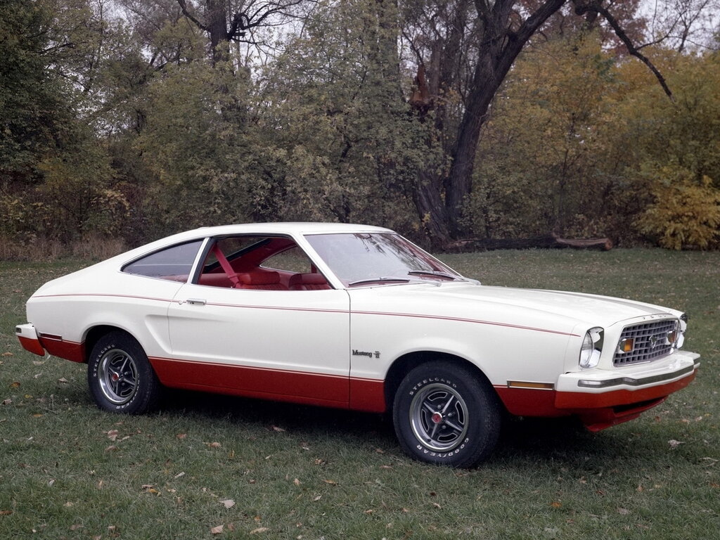 Ford Mustang (69F, 69R) 2 поколение, хэтчбек 3 дв. (10.1973 - 10.1978)